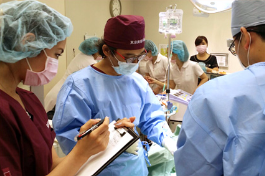 the plus clinic korea - academic research