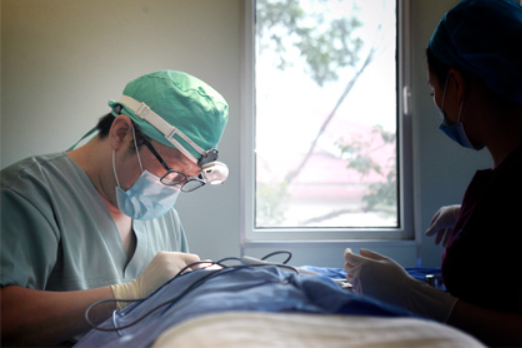 the plus clinic korea - academic research