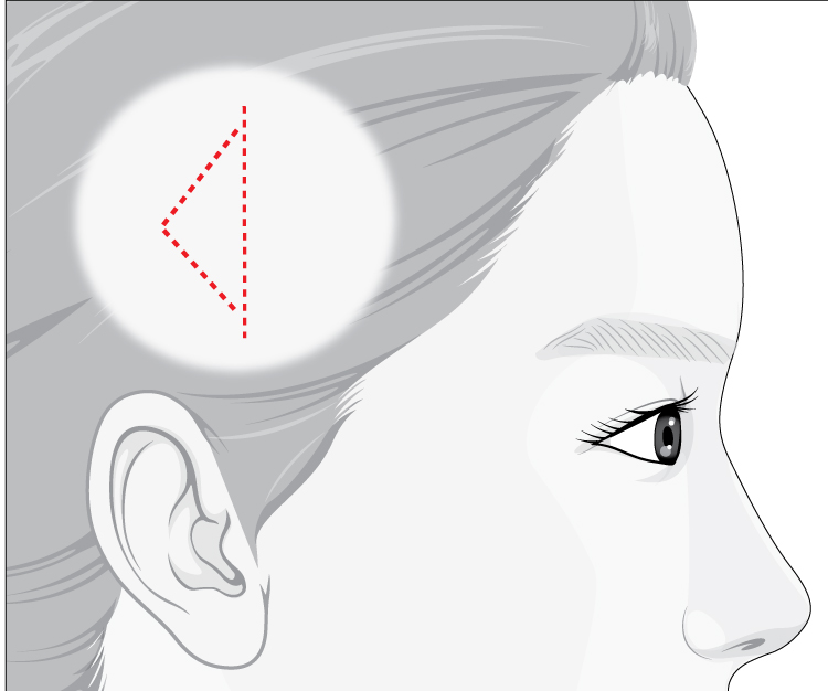 Scalp fascia