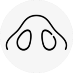 rhinoplasty in Korea the plus plastic surgery gangnam seoul