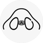 rhinoplasty in Korea the plus plastic surgery gangnam seoul