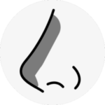 rhinoplasty in korea the plus plastic surgery gangnam